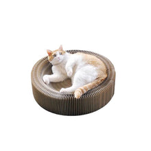 Magic Organ Accordion Cat Scratching Board – 2-in-1 Foldable Interactive Toy & Bed