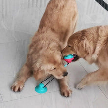 Interactive Self-Playing Chew Ball & Teeth Cleaner for Dog