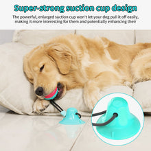 Interactive Self-Playing Chew Ball & Teeth Cleaner for Dog