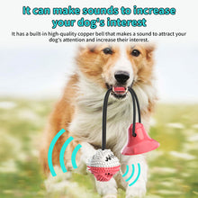 Interactive Self-Playing Chew Ball & Teeth Cleaner for Dog
