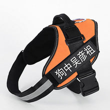 Personalized No-Pull Dog Harness | Reflective Custom Name Vest with Control Handle