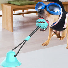 Interactive Self-Playing Chew Ball & Teeth Cleaner for Dog
