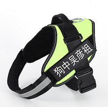 Personalized No-Pull Dog Harness | Reflective Custom Name Vest with Control Handle