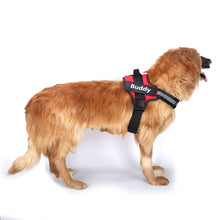 Personalized No-Pull Dog Harness | Reflective Custom Name Vest with Control Handle